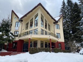Vila Phoenix Predeal